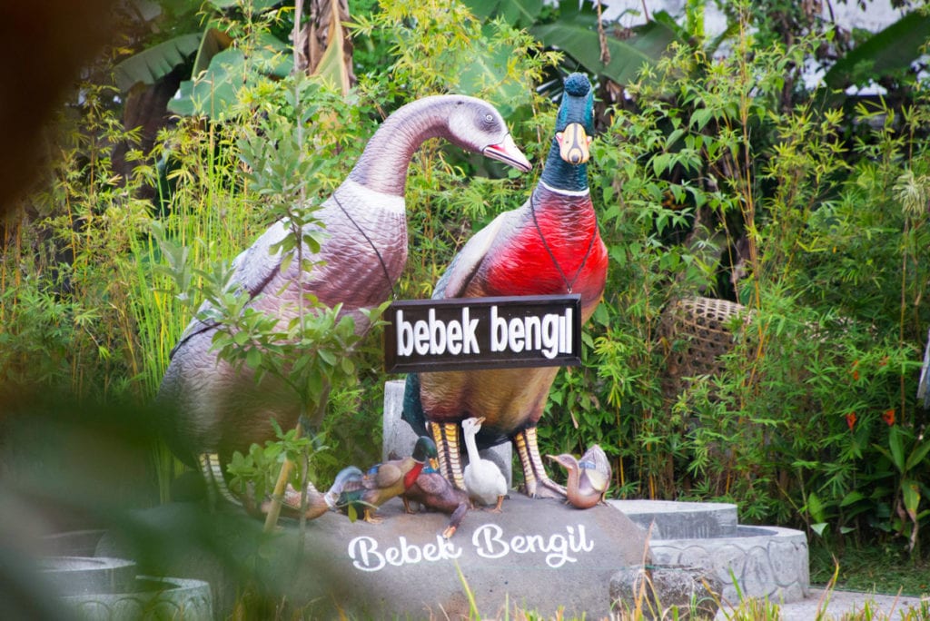 Visiting Monkey Forest - Ubud, Bali | Guide and review - divetip.com