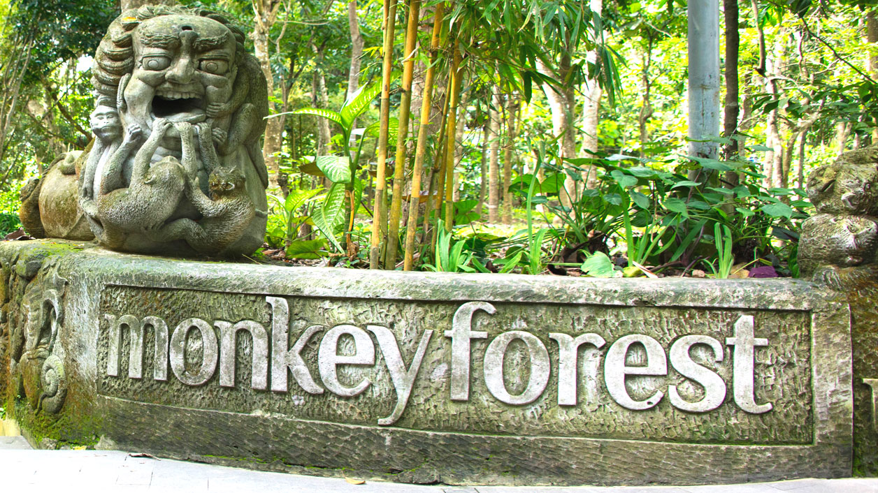 Visiting Monkey Forest Ubud Bali Guide And Review Divetip monkey-forest-ubud