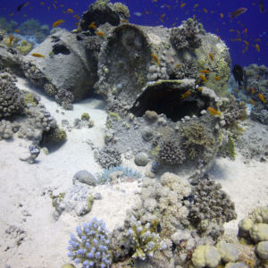 gordon reef diving